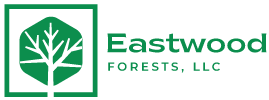 Eastwood forests logo Eastwood forests logo